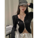 Double Zipper Embroidered Long-Sleeved T-Shirt Girl Early Spring Pure Hot Girl Sexy Short Hooded Blouse Inside The Bottom Shirt