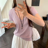 Dopamine Super-Good-Looking Purple Loose Thin V-Neck Short-Sleeved T-Shirt For Women 2025 Unique Beautiful T-Shirt