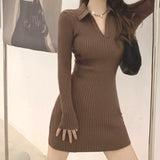 2026 Spring And Autumn New Hot Girl Polo Collar Knitted Dress Women Bottomed Waist Tight Body Thin Bag Hip Dress