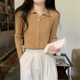 Designing A Small-Sized Collar Long-Sleeved Knitted Shirt Women 2026 Spring And Autumn Pure Color Shirt Bottom Sweater