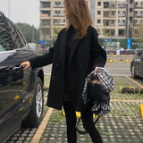 2025 New Hairy Wind Coat Women's Autumn And Winter New Loose Leisure Small Man With The Coat