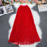 Lace A-Word Skirt Female Long-Skinny High-Rise Thin Elegant Dress In The Long Dress Multi-Colored